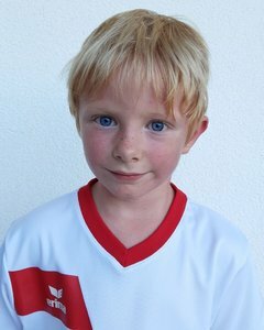 Martin Bauer